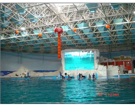 深圳游泳馆螺栓球网架